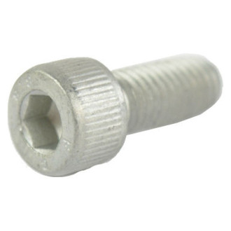 Mopar® - Door Hinge Bolt