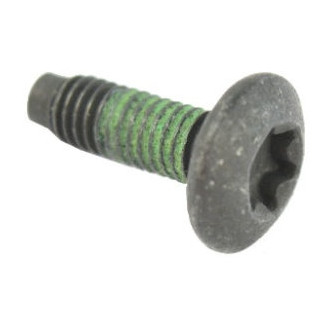 Mopar® - Door Lock Striker Plate Bolt