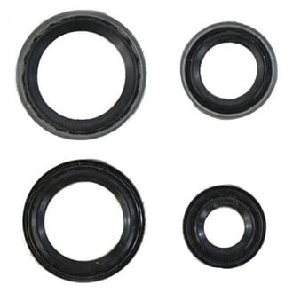 Mopar® - A/C Expansion Valve Seal