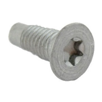 Mopar® - Passenger Side Door Lock Striker Plate Screw
