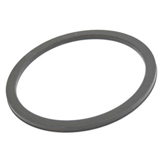 Fiat OE - Fuel Pump Tank Seal
