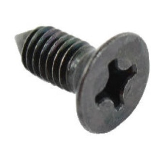 Mopar® - Door Lock Striker Cover Screw
