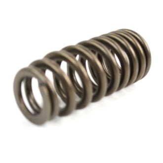 Mopar® - Valve Spring