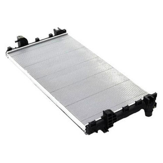 Ram OE - Radiator