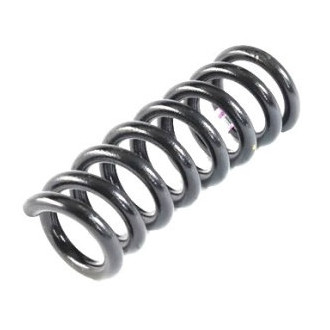 Mopar® - Rear Coil Spring