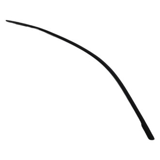 Mopar® - Door Belt Molding