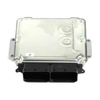 Mopar® - Engine Control Module