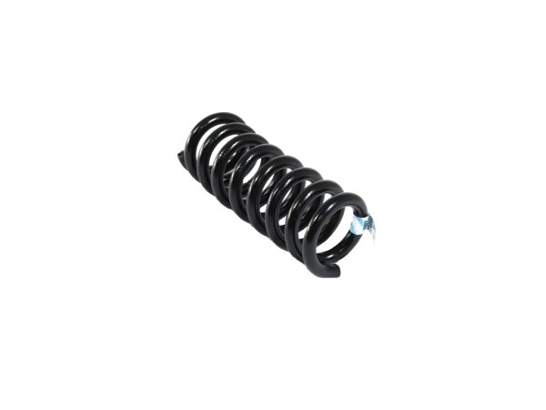 Mopar® - Rear Coil Spring