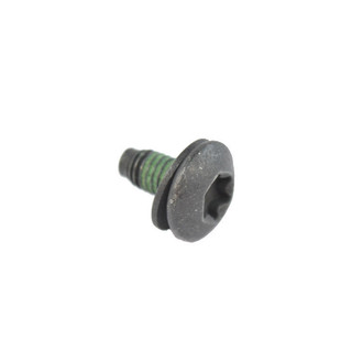 Mopar® - Back Driver Side Door Latch Screw
