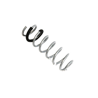 Mopar® - Rear Coil Spring