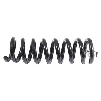 Mopar® - Rear Coil Spring
