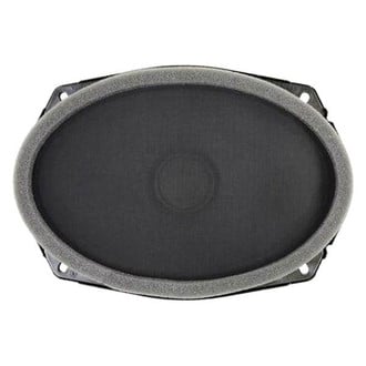 Ram OE - Front Lower Rearward Speaker