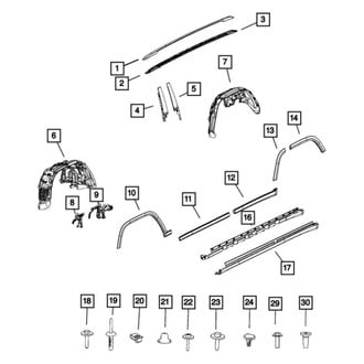 Mopar® - Door Belt Molding