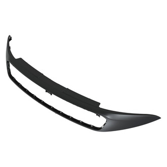 Mopar® - Grille Molding