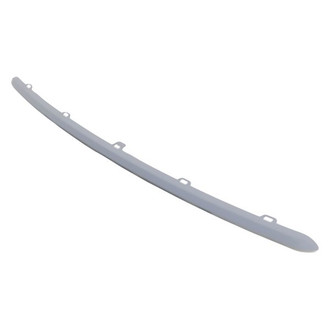 Mopar® - Center Bumper Trim