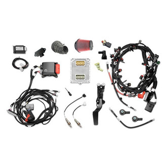 Mopar® - Engine Control Module Kit