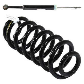 Mopar® - Rear Driver or Passenger Side Shock Absorber and Coil Springs Kit
