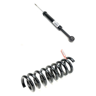 Mopar® - Front Driver or Passenger Side Shock Absorber and Coil Springs Kit