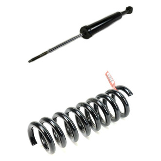 Mopar® - Front Driver or Passenger Side Shock Absorber and Coil Springs Kit