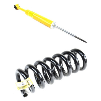 Mopar® - Front Driver or Passenger Side Shock Absorber and Coil Springs Kit