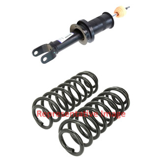 Mopar® - Rear Driver or Passenger Side Shock Absorber and Coil Springs Kit