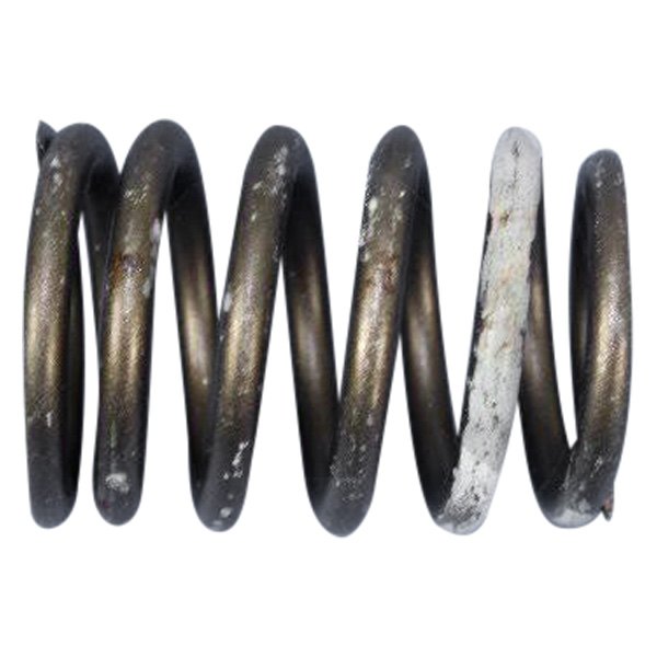 Mopar® 53021056 Valve Spring