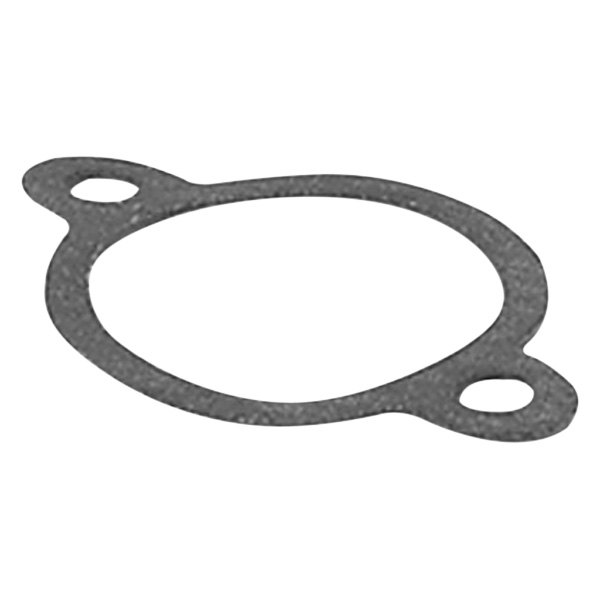 Moroso® - By-Pass Oil Filter Gasket