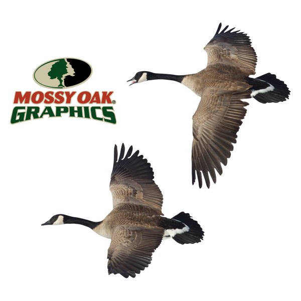 Mossy Oak Graphics® - Canada Goose Flying Left Decal