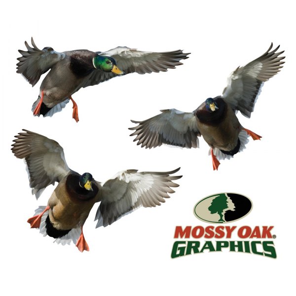 Mossy Oak Graphics® - "Mallard 3 Drakes" Decal