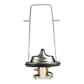 MotoRad® - Engine Coolant Thermostat with Seal