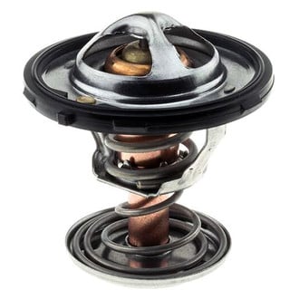 MotoRad® - Engine Coolant Thermostat with Seal
