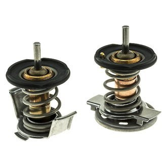 MotoRad® - Engine Coolant Thermostat with Seal