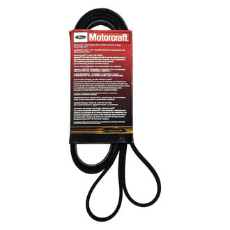 Motorcraft® - Accessory Drive V-Belt