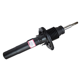 Motorcraft® - Strut