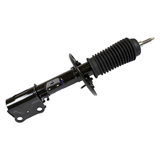Motorcraft® - Front Passenger Side Strut