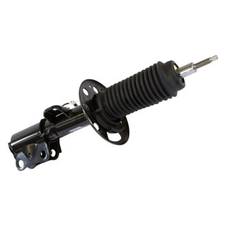 Motorcraft® - Front Passenger Side Strut