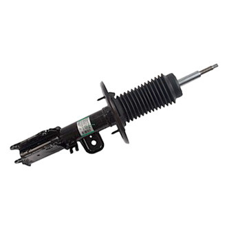 Motorcraft® - Front Strut