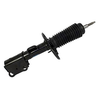 Motorcraft® - Front Passenger Side Strut