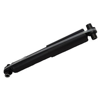 Motorcraft® - Rear Driver or Passenger Side Strut