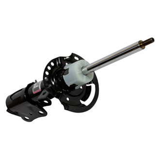 Motorcraft® - Front Passenger Side Strut