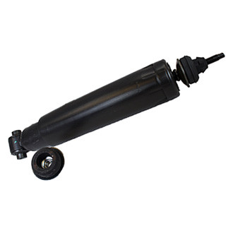 Motorcraft® - Rear Driver or Passenger Side Strut