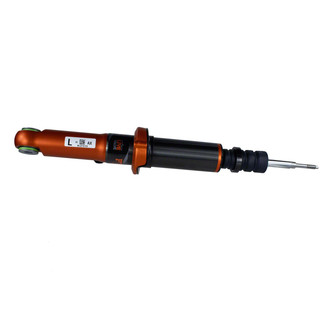 Motorcraft® AST806113 - Strut