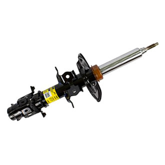 Motorcraft® - Front Driver or Passenger Side Strut