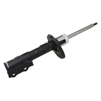 Motorcraft® - Front Passenger Side Strut