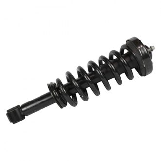 Motorcraft® - Front Strut Assembly