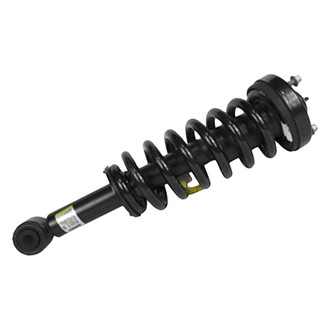 Motorcraft® - Front Driver or Passenger Side Strut Assembly