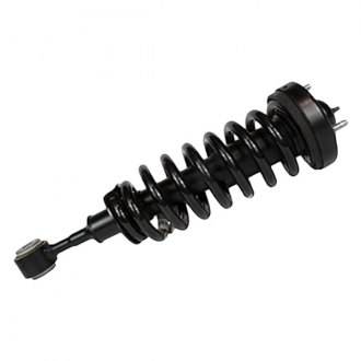 Motorcraft® - Strut Assembly