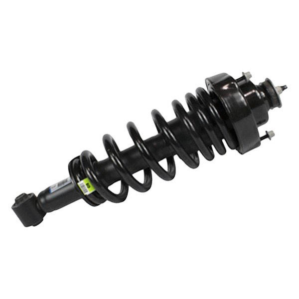 Motorcraft® - Rear Driver or Passenger Side Strut Assembly