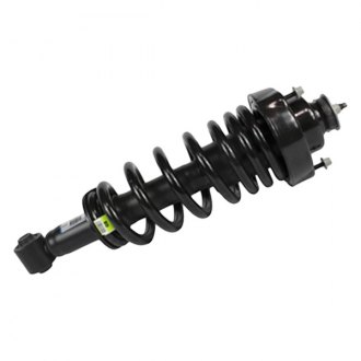 Motorcraft® - Rear Strut Assembly