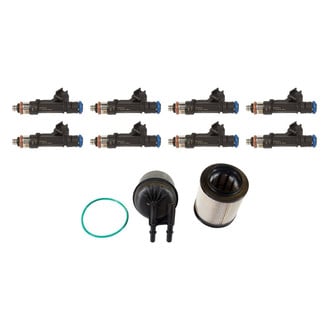 Motorcraft® - Fuel Filter with Fuel Injector Kit